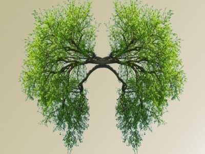 Ademhaling <br>en Rust